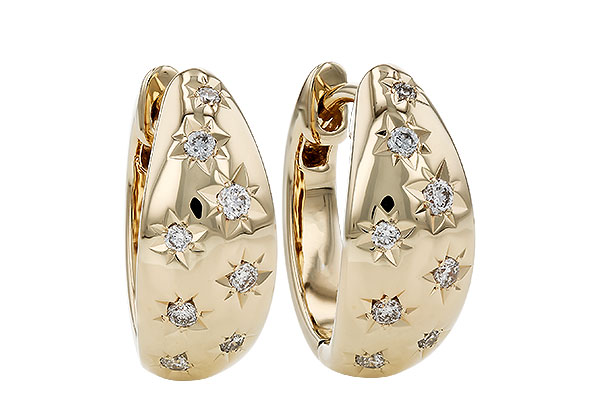 C276-09693: EARRINGS .17 TW