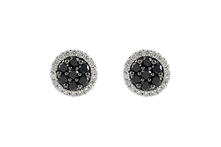 D187-07838: EARR .47 BLACK DIA .72 TW