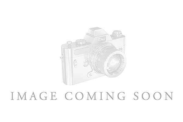 G185-18793: LDS WED RG